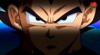 /album/fotogaleria/vegeta-ova-3-jpg/